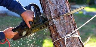 Best Soil Testing and Treatment  in Folsom, CA