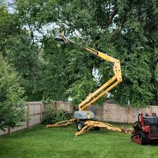 Best Lawn Dethatching  in Folsom, CA