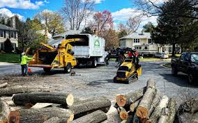 Best Aeration Services  in Folsom, CA
