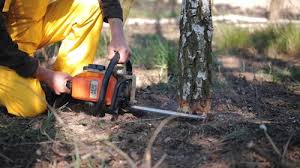 Best Weed Control  in Folsom, CA