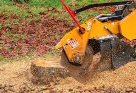  Folsom, CA Tree Care Pros